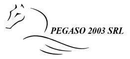 Pegaso 2003